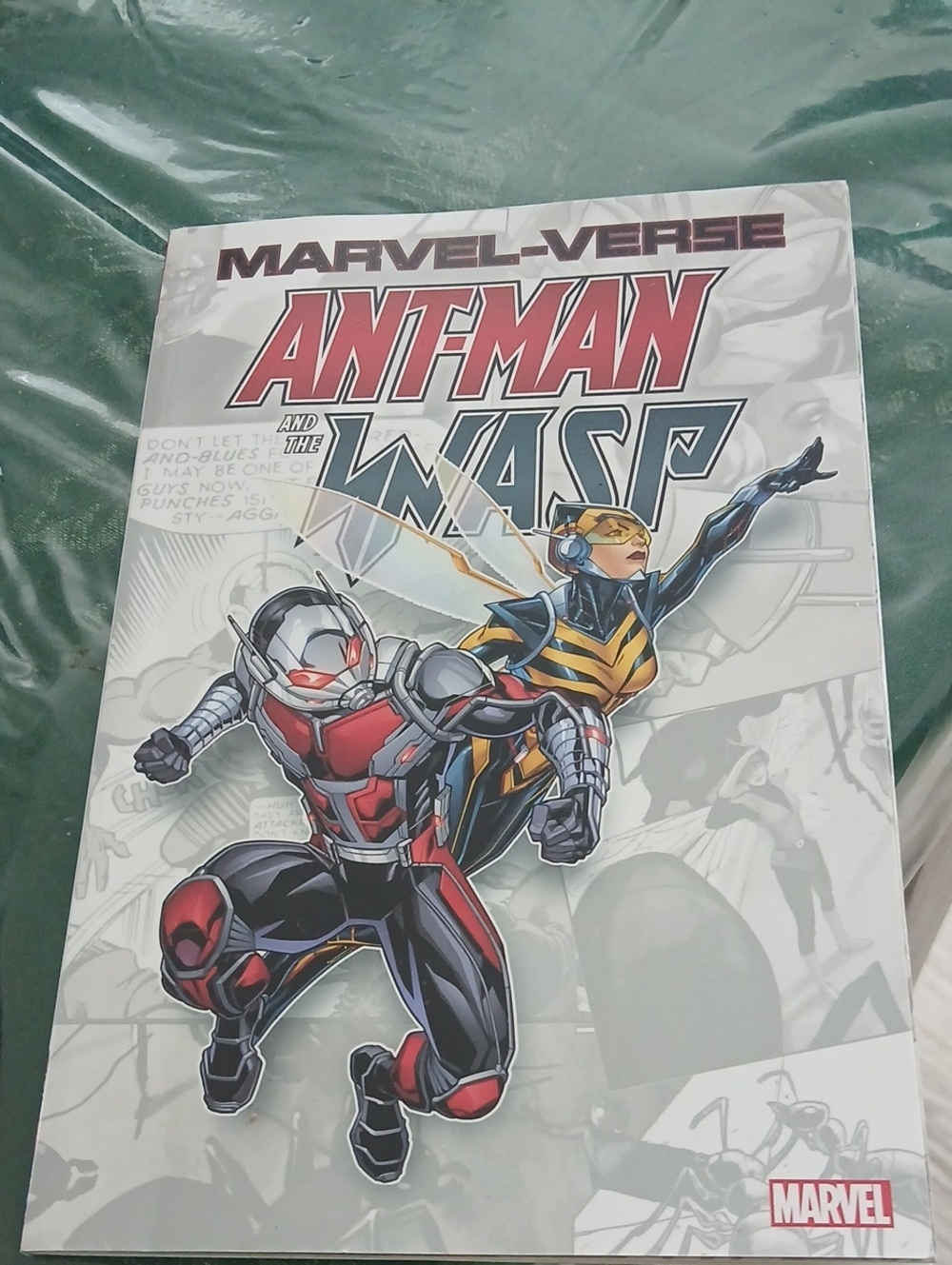 Marvel Ant-Man and The Wasp Wall Art - Red, Yellow, Black Comic Book